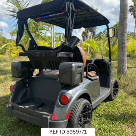 2026 E-Z-GO RXV2 Elite golf cart in Platinum at Sunshine Golf Car