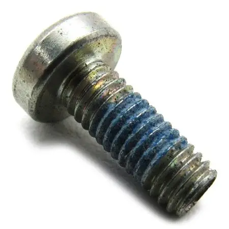 SCREW PDS MAGNET