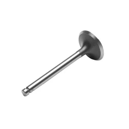 INTAKE VALVE