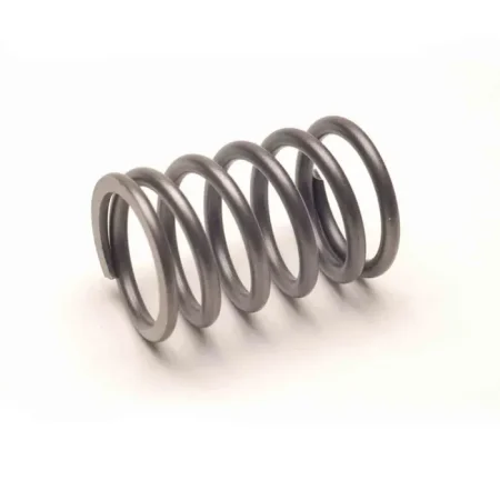 SPRING-ENGINE VALVE