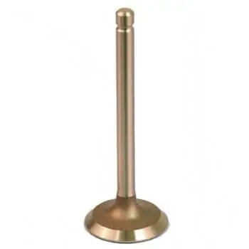 EXHAUST VALVE